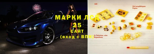 ГАЛЛЮЦИНОГЕННЫЕ ГРИБЫ Абаза