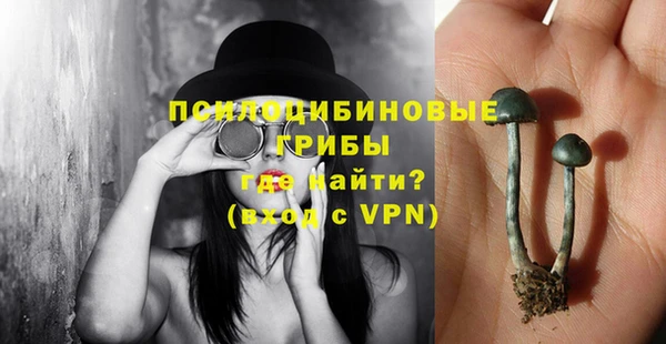 ГАЛЛЮЦИНОГЕННЫЕ ГРИБЫ Абаза