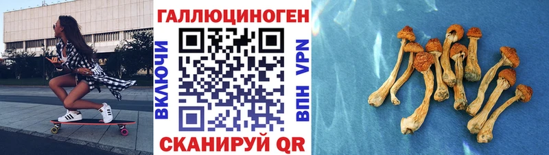 Псилоцибиновые грибы прущие грибы  Котельнич 